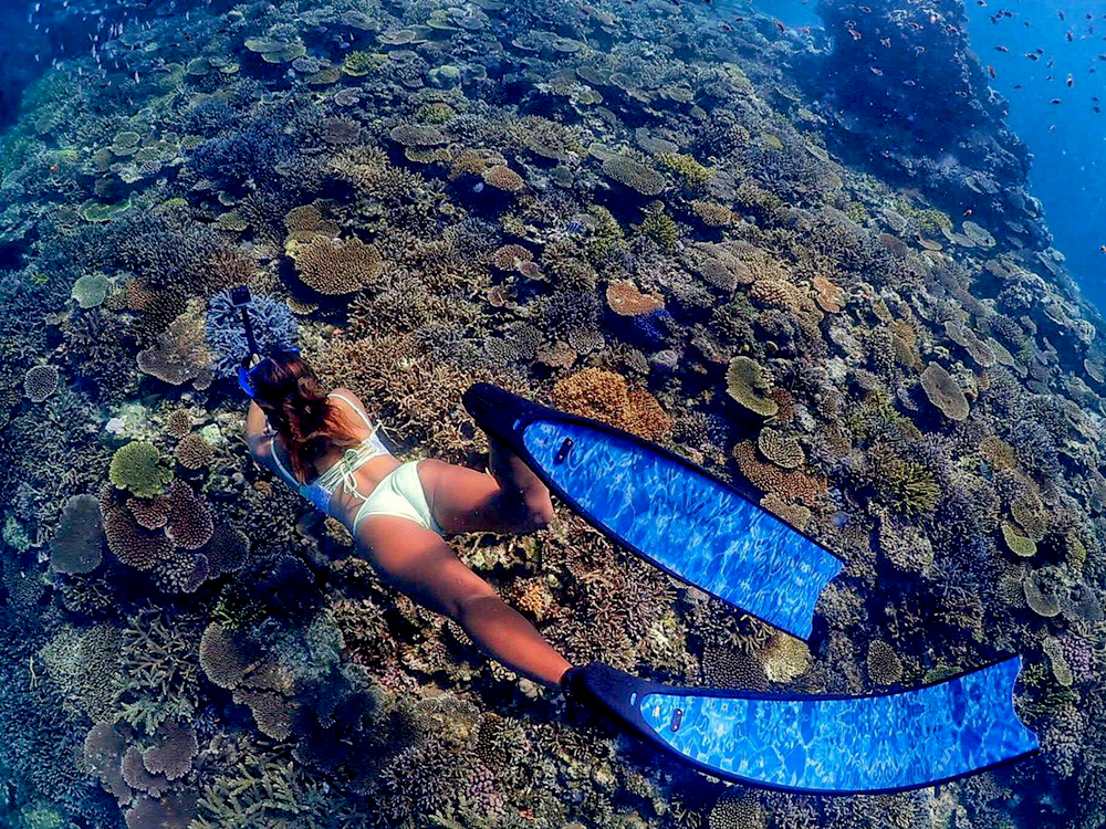 シュノーケリング