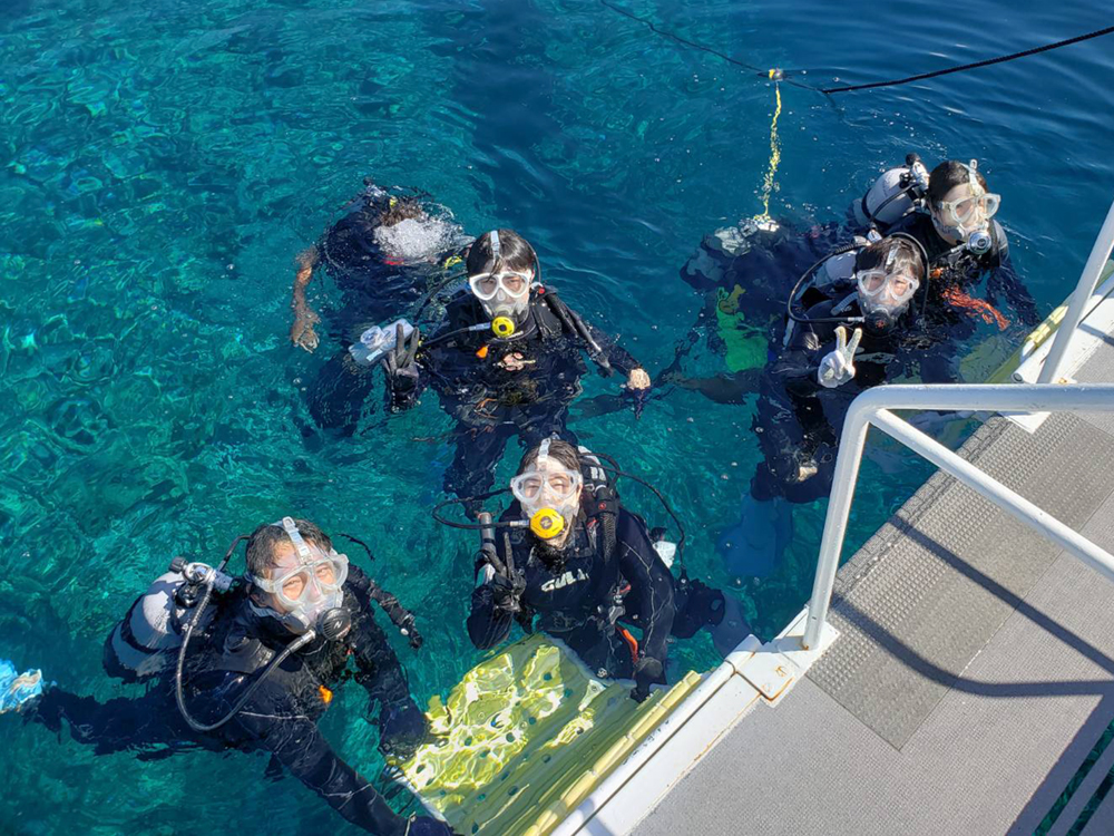 体験ダイビング